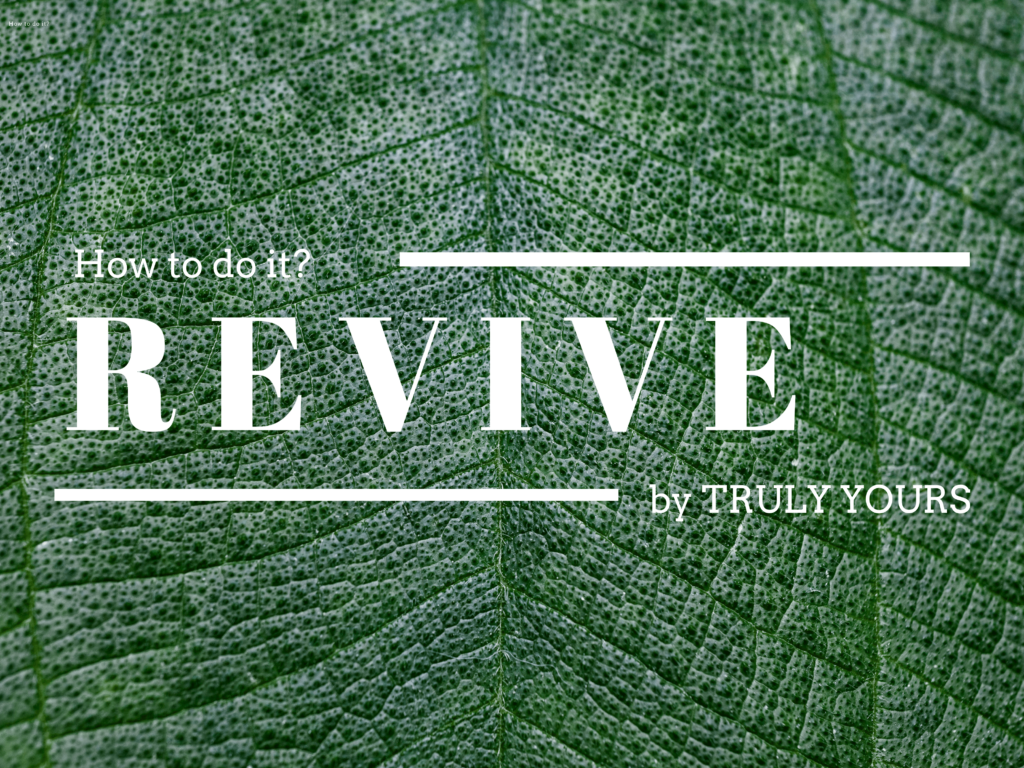 Revive – jeder hat eine zweite Chance verdient