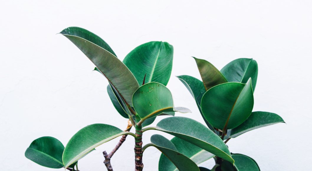 sabrina-mazzeo-771639-unsplash-min